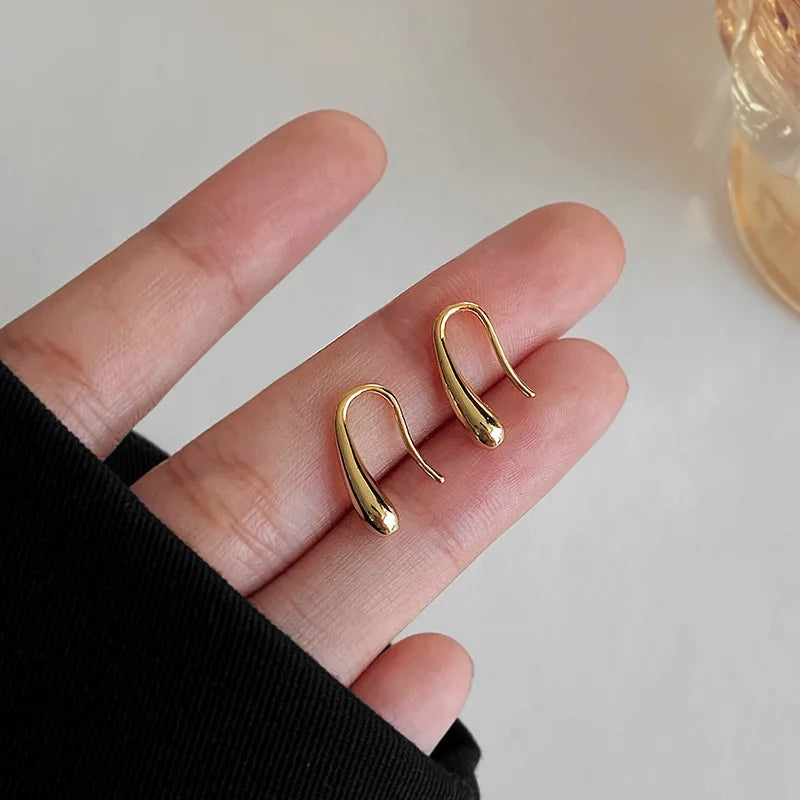 S925 Dainty Droplet Hook Earrings — product detail