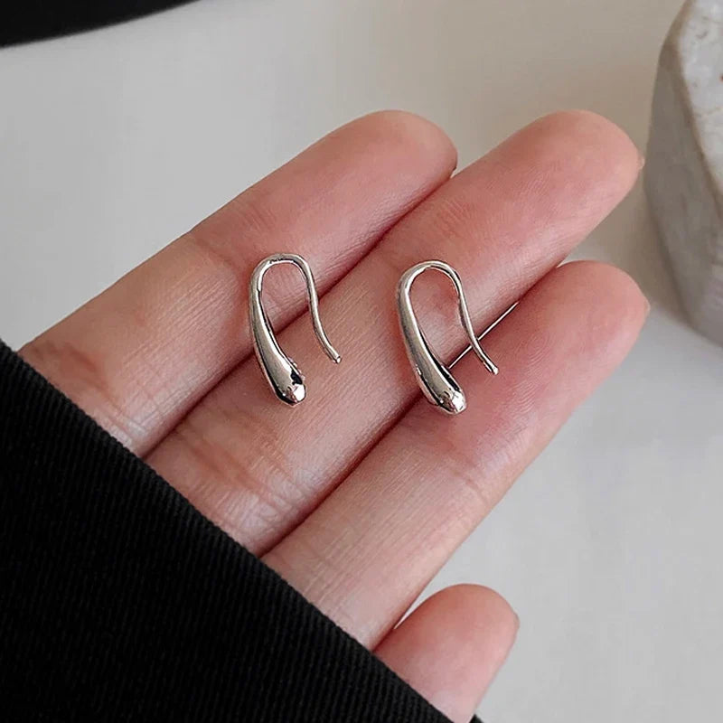 S925 Dainty Droplet Hook Earrings — product detail