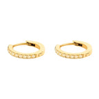 Dainty Birthstone Hoop Huggie Earrings — product detail