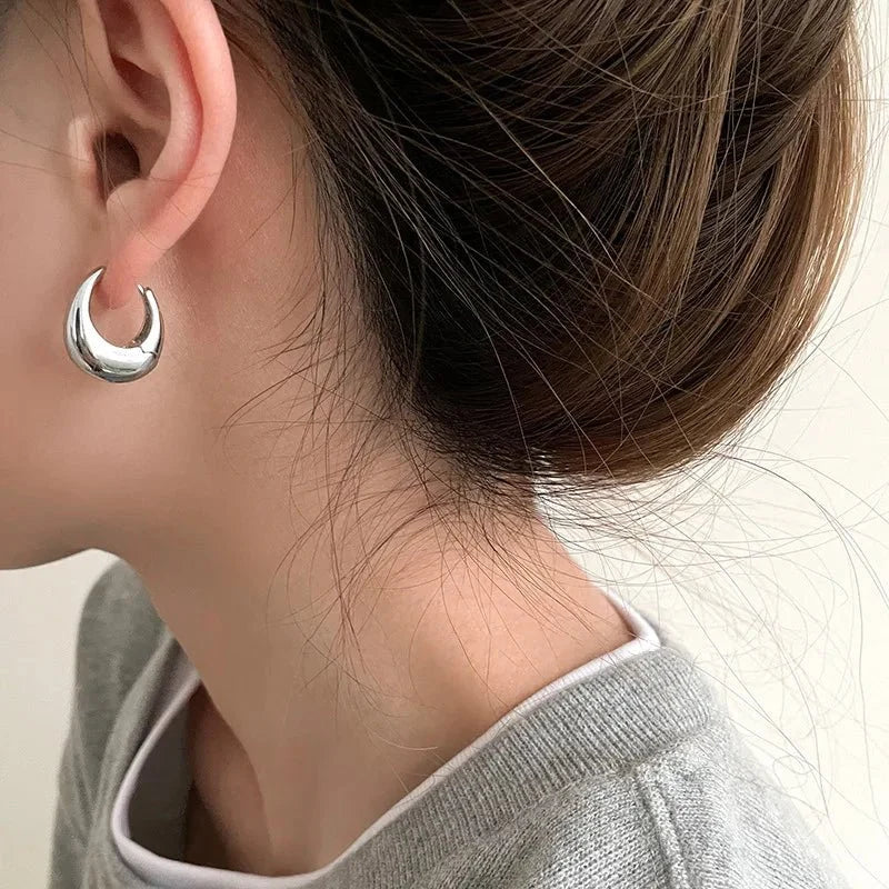 S925 Classy Hoop Dainty Earrings — product detail