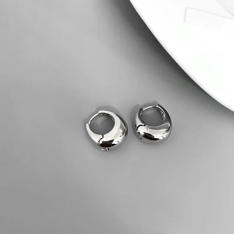 S925 Classy Hoop Dainty Earrings — product detail