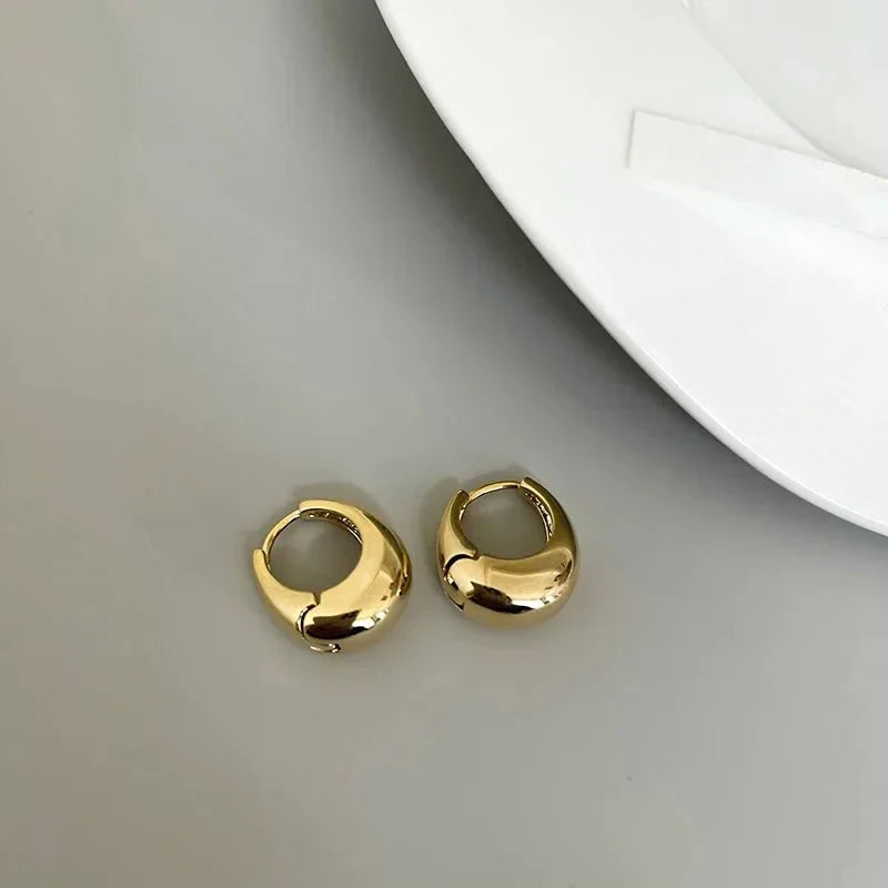 S925 Classy Hoop Dainty Earrings — product detail