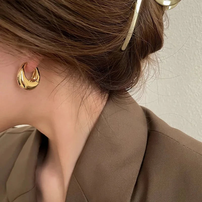 S925 Classy Hoop Dainty Earrings — product detail